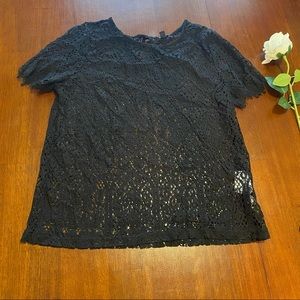 Kabi 🇫🇷floral lace black short sleeved blouse size US 8 🤎